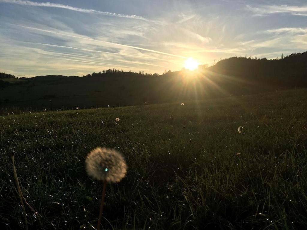 Natur Pur Im Schoenen Sauerland Διαμέρισμα Allendorf  Εξωτερικό φωτογραφία